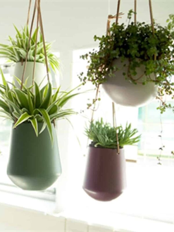Skittle | Hangpot (medium)