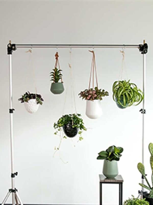 Skittle | Hangpot (small)