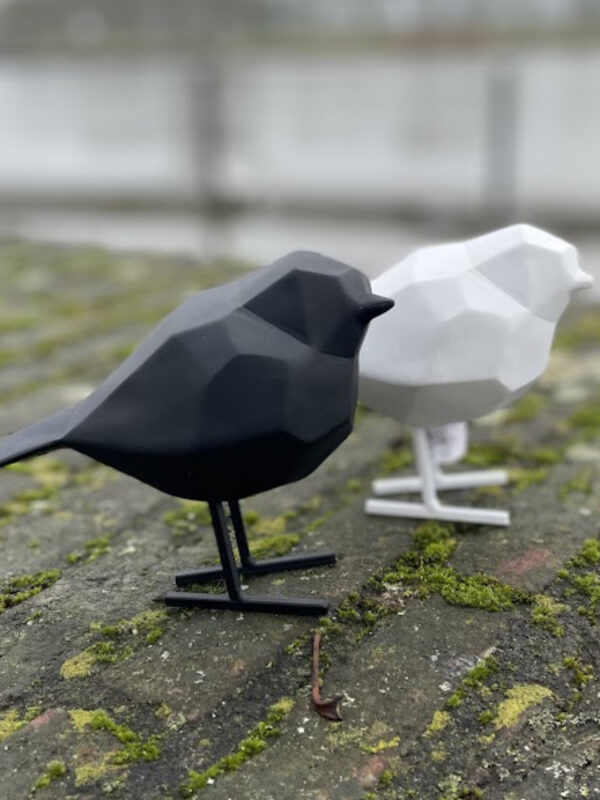 BIRD S | Origami vogel